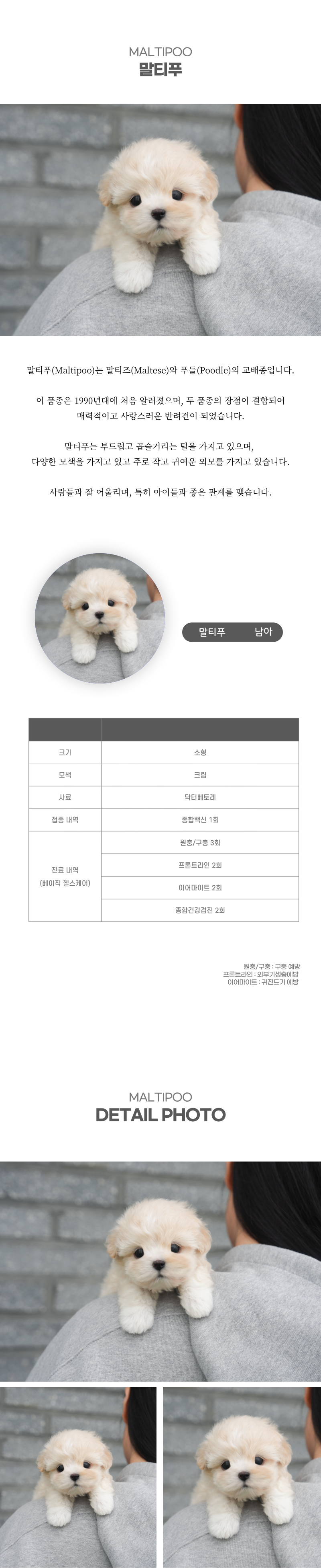 말티푸_상세이미지_2